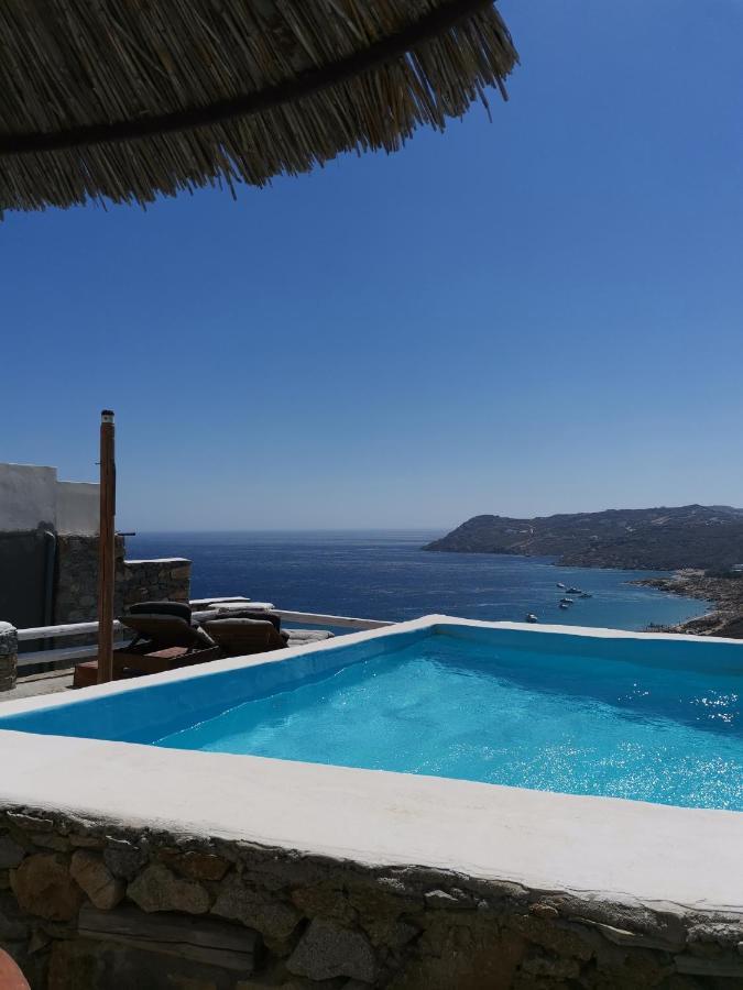 Villa Viktoria In Elia Beach, Mykonos Mykonos Town Buitenkant foto